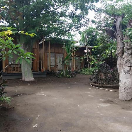 Beach Box Bungalow Gili Trawangan Exterior foto
