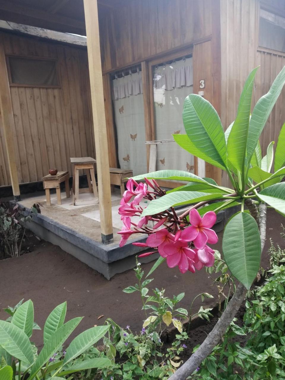 Beach Box Bungalow Gili Trawangan Exterior foto