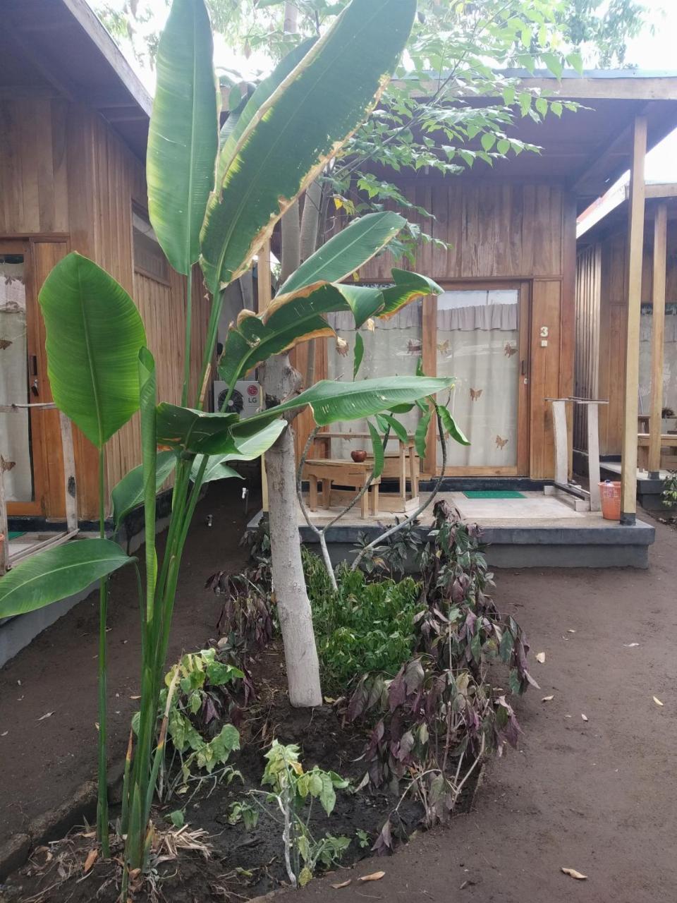 Beach Box Bungalow Gili Trawangan Exterior foto